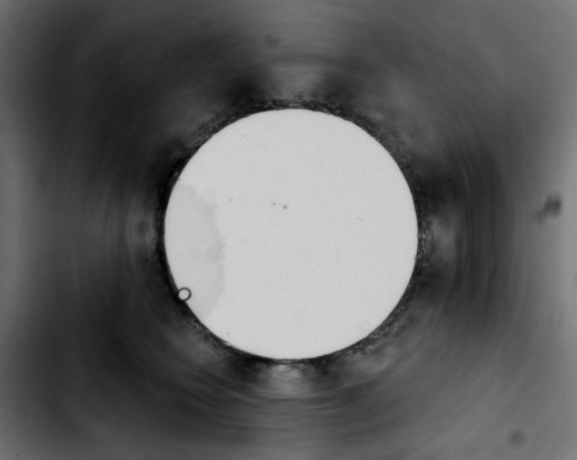 X0000103930566200810311519