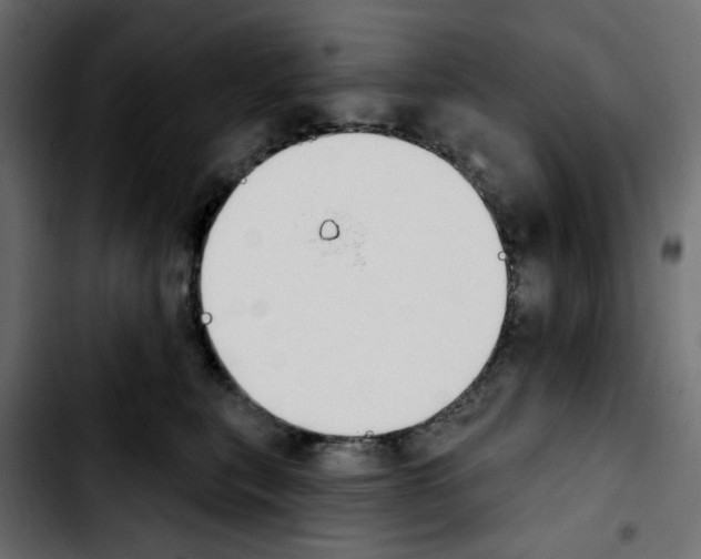 X0000103930567200810311519