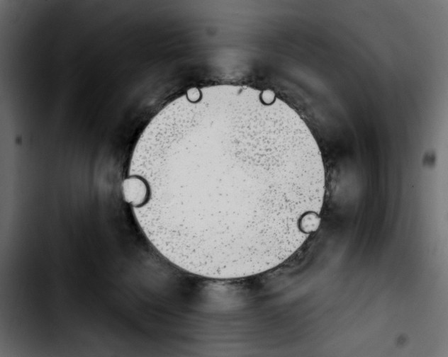 X0000103930568200810311519