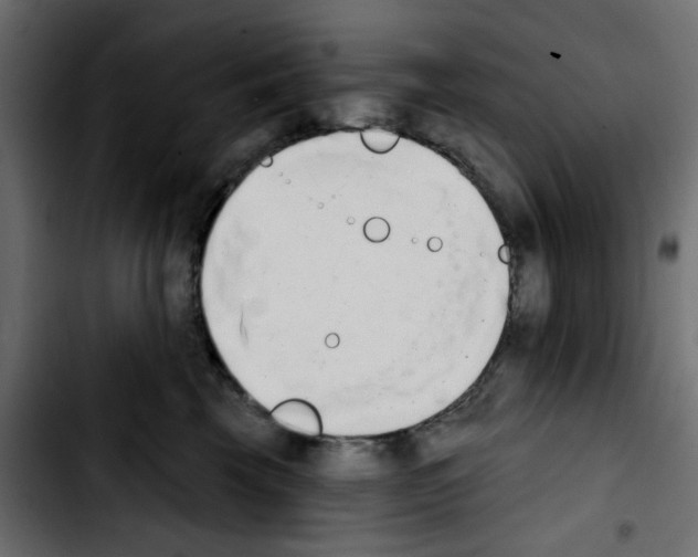 X0000103930569200810311519