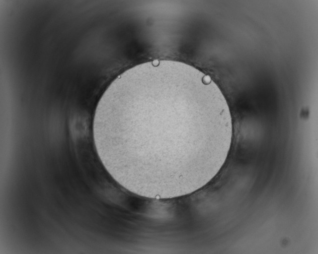 X0000103930570200810311519