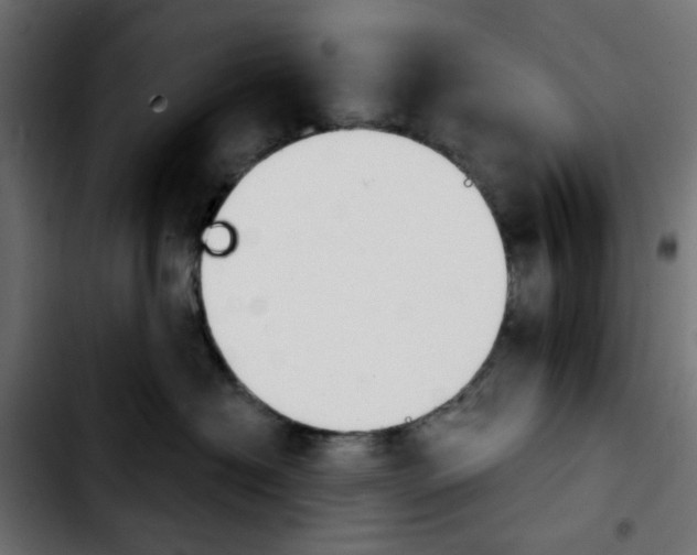 X0000103930574200810311520