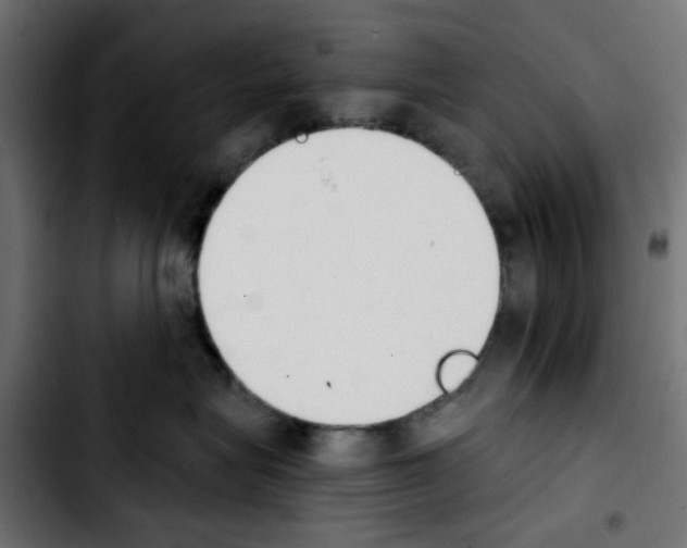 X0000103930575200810311520