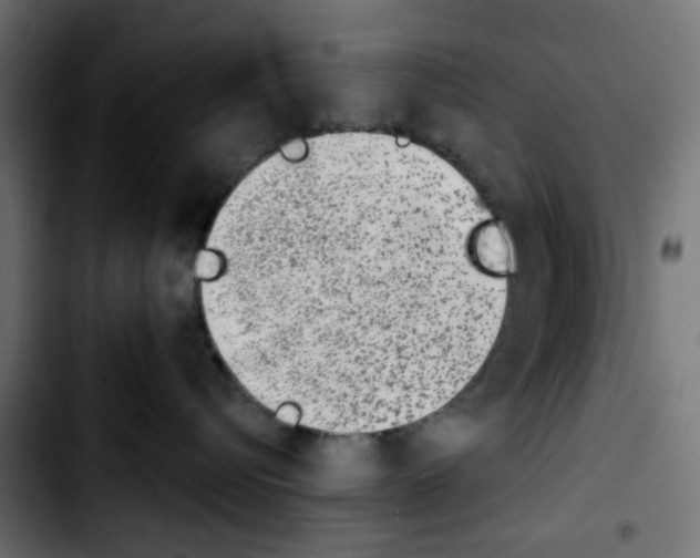 X0000103930576200810311520