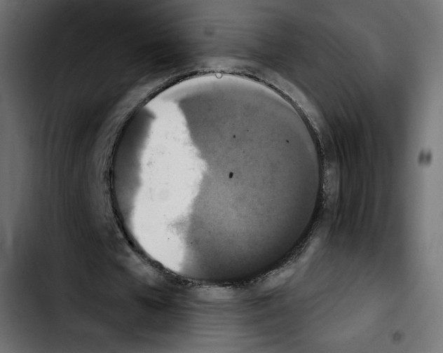 X0000103930577200810311519