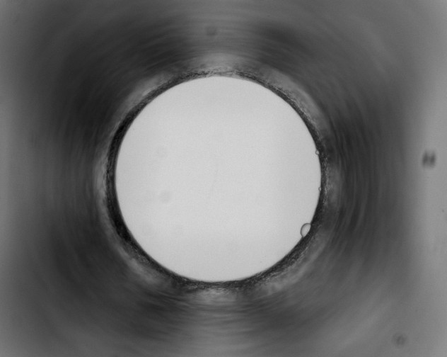 X0000103930578200810311519