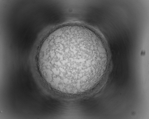 X0000103930579200810311519