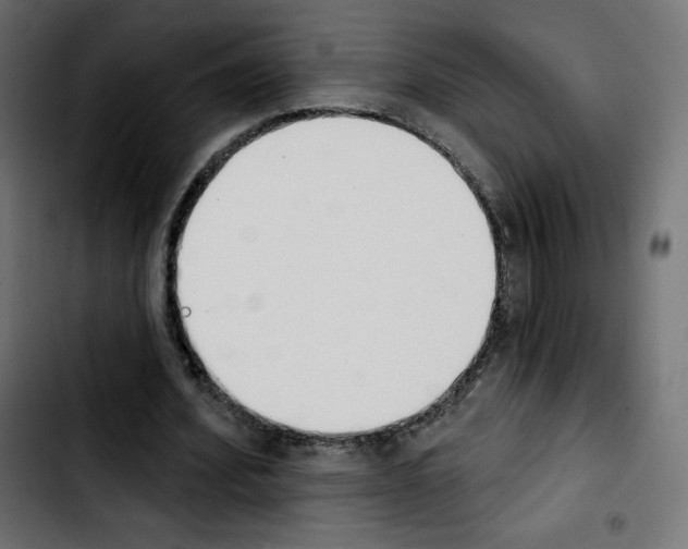 X0000103930580200810311519
