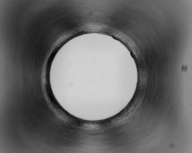 X0000103930582200810311519