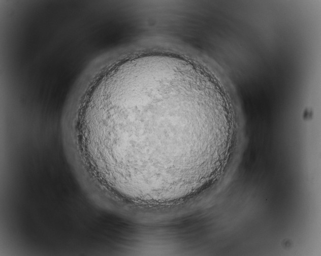 X0000103930583200810311519