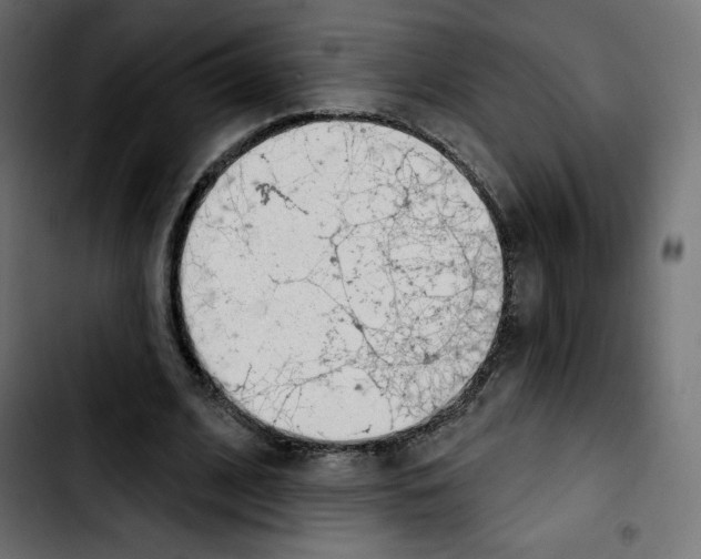 X0000103930584200810311519