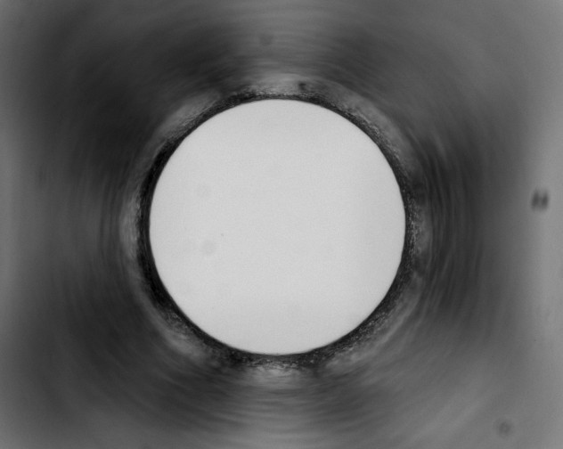 X0000103930586200810311519