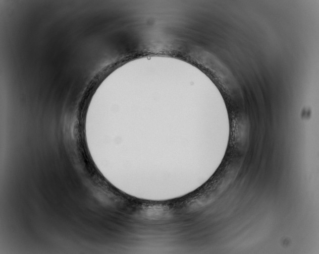 X0000103930587200810311519
