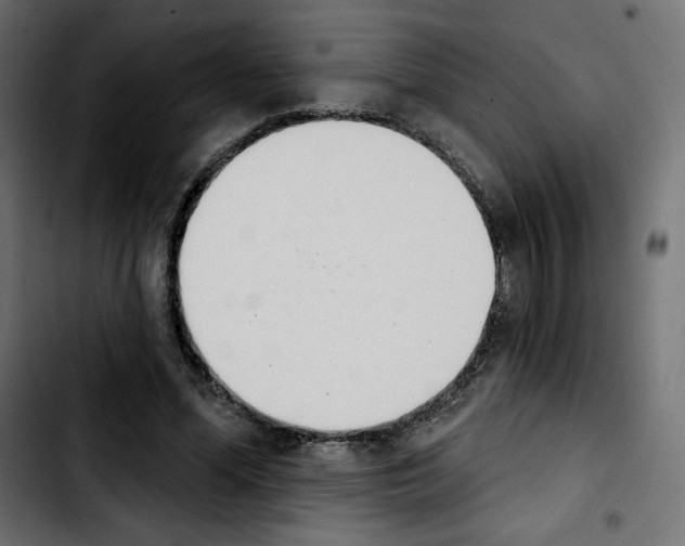 X0000103930588200810311519