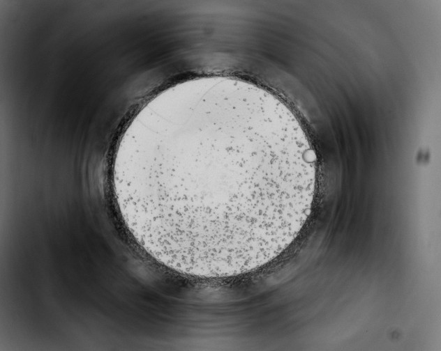 X0000103930589200810311519