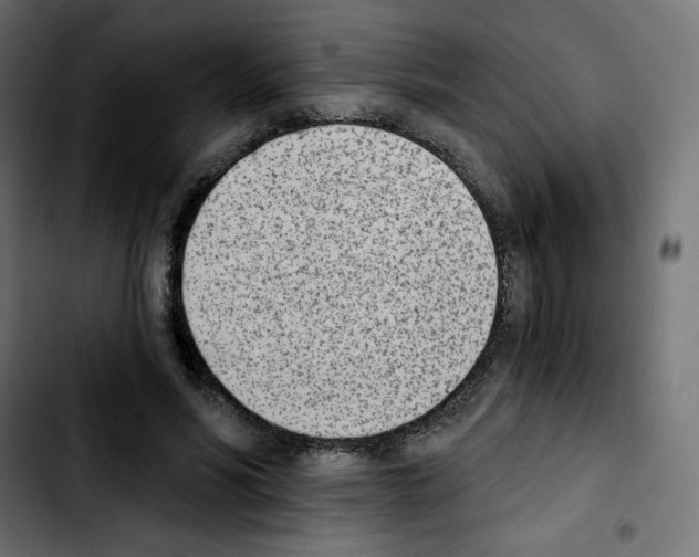 X0000103930590200810311519