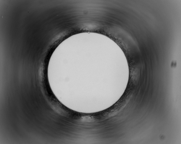 X0000103930591200810311519
