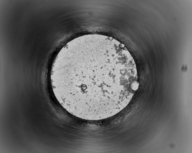 X0000103930592200810311519