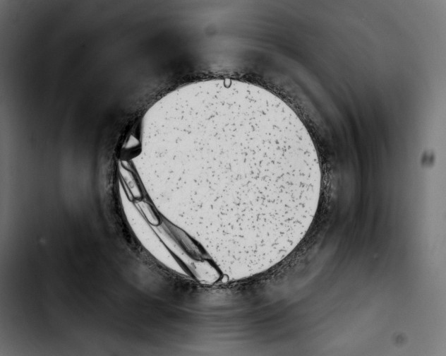 X0000103930593200810311519