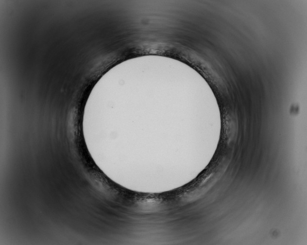 X0000103930594200810311519