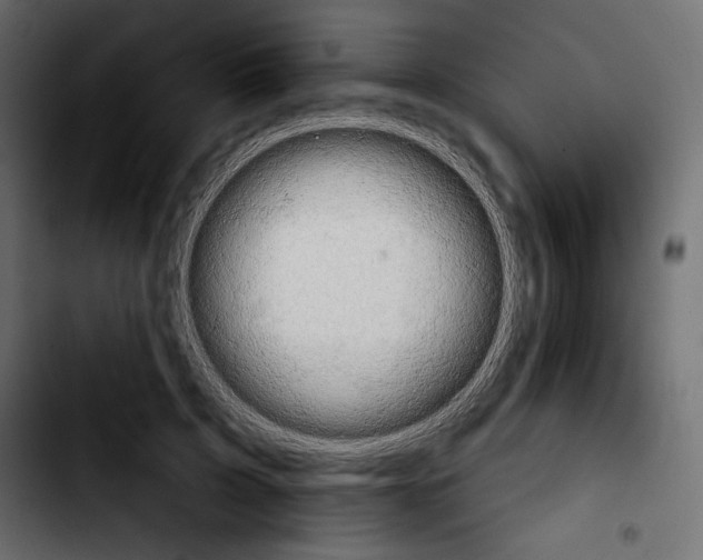 X0000103930595200810311519