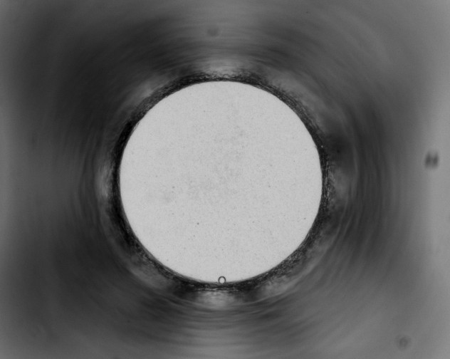 X0000103930596200810311519