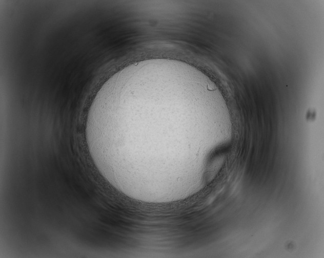 X0000103930597200810311519