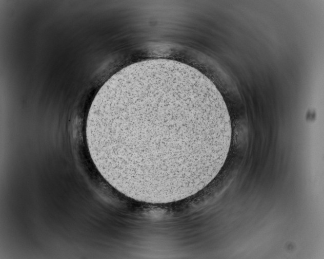 X0000103930598200810311519