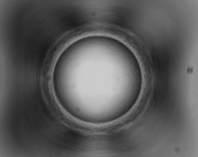 X0000103930599200810311519