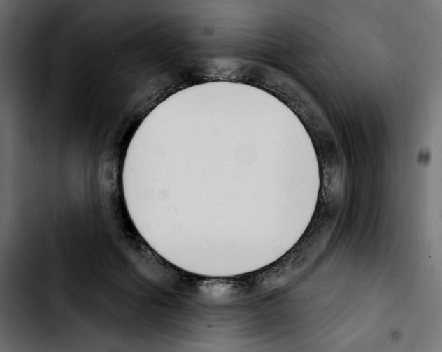 X0000103930602200810311519