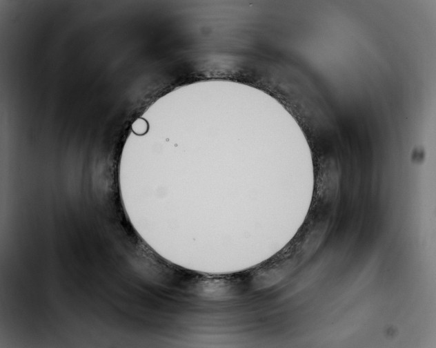 X0000103930604200810311519