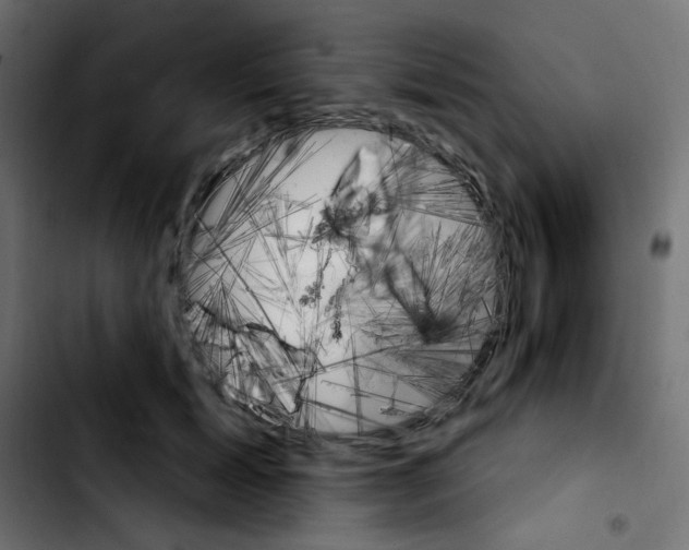 X0000103930605200810311519