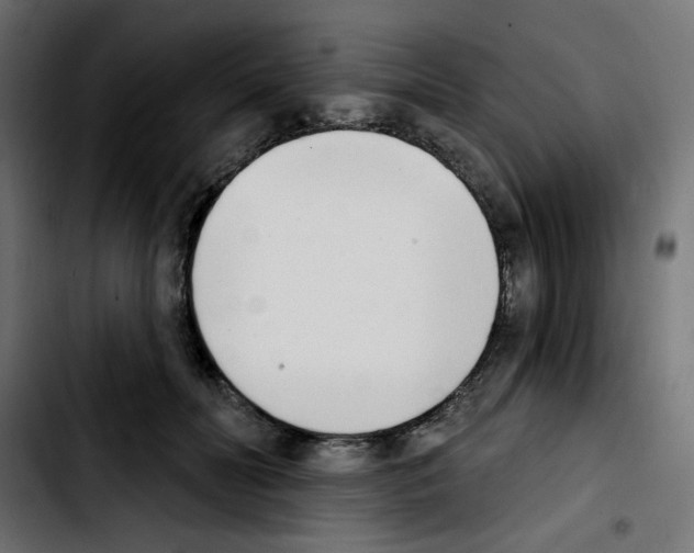 X0000103930606200810311519