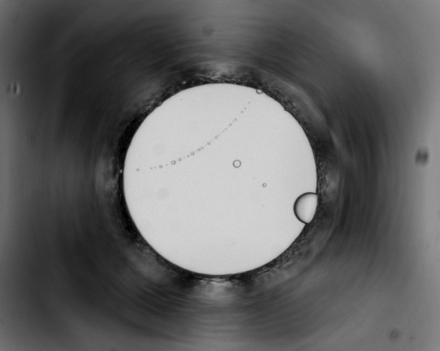 X0000103930607200810311518
