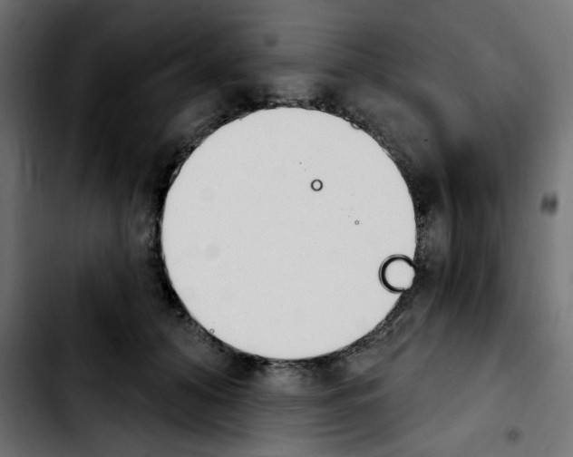 X0000103930608200810311518