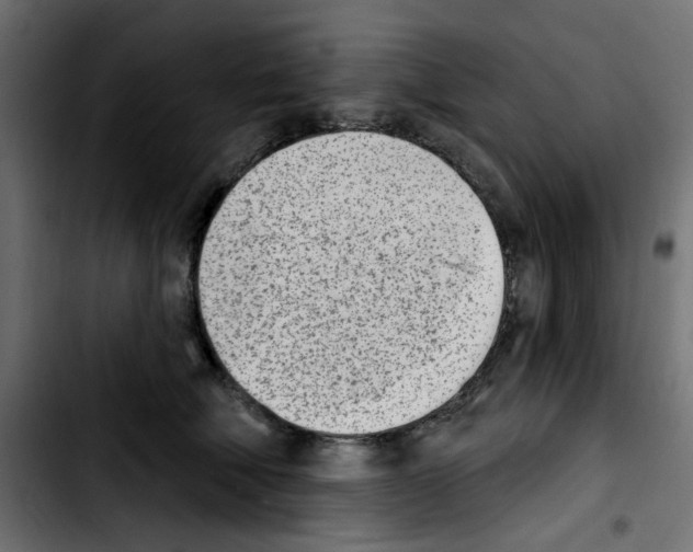 X0000103930610200810311518