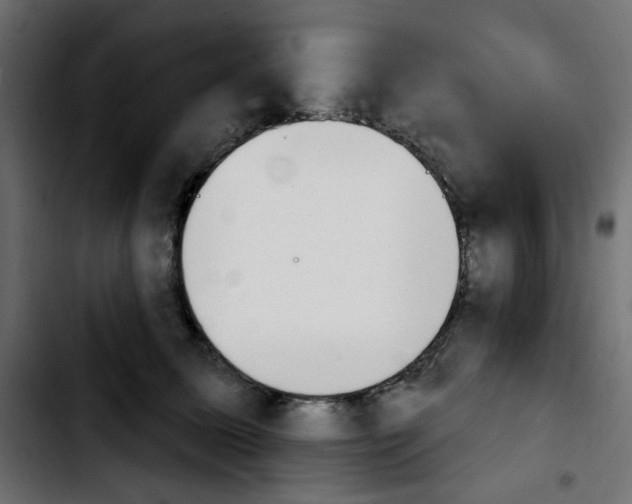 X0000103930611200810311518
