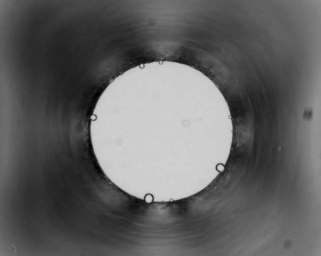 X0000103930613200810311518