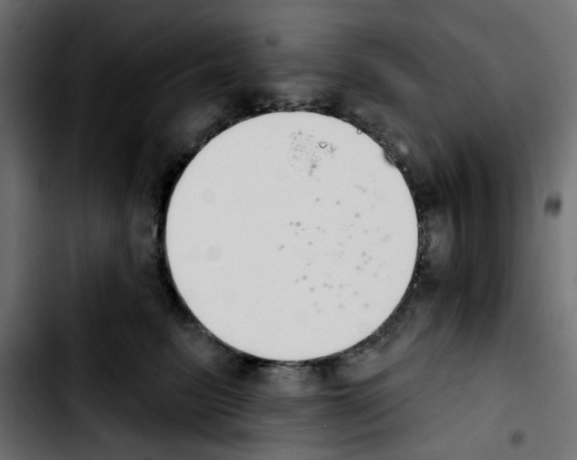 X0000103930615200810311518