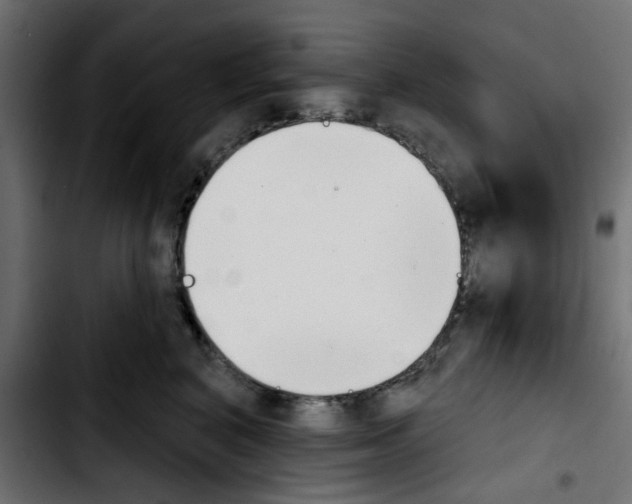 X0000103930616200810311518