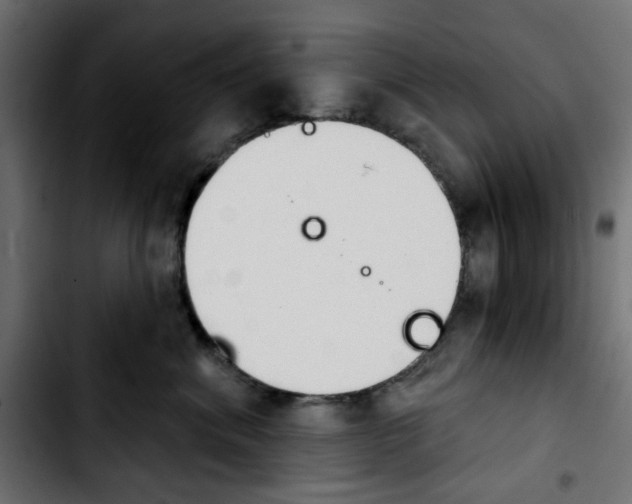 X0000103930620200810311518