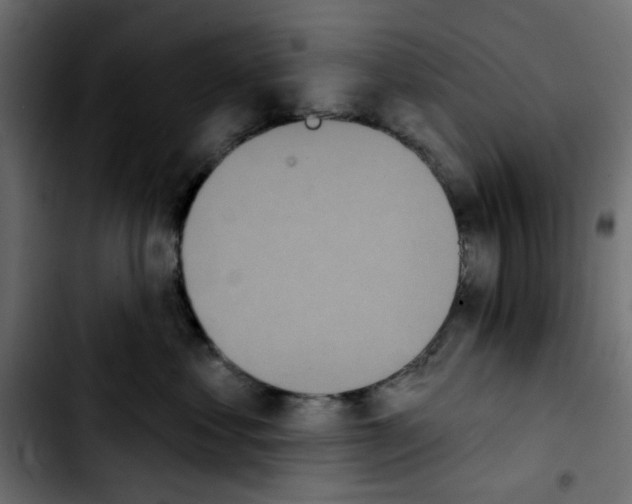 X0000103930621200810311518