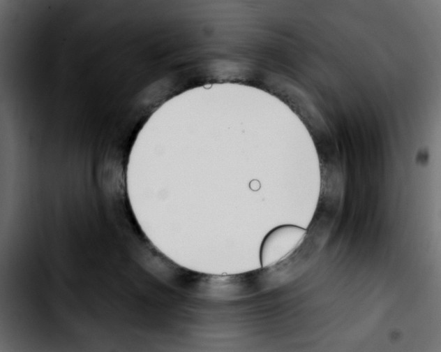 X0000103930622200810311518