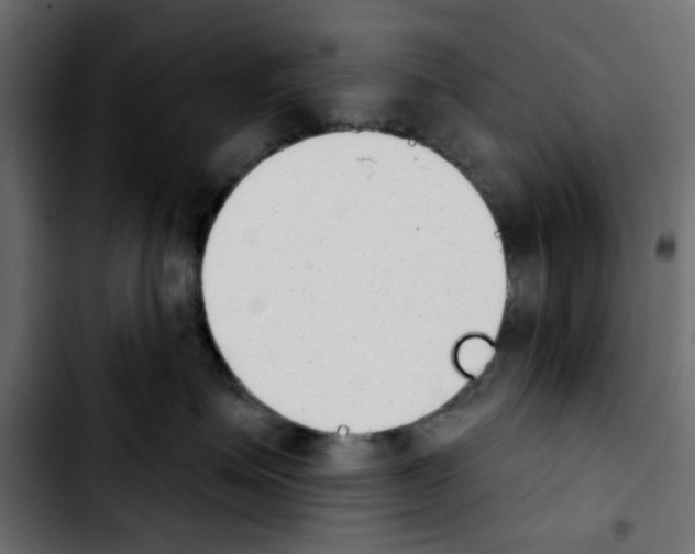 X0000103930623200810311518