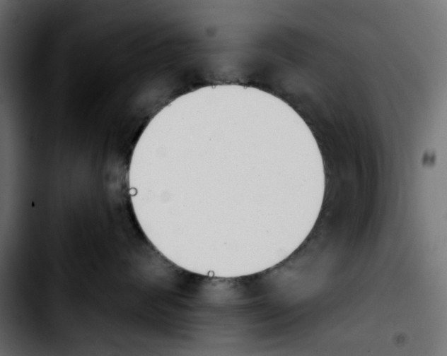 X0000103930624200810311518
