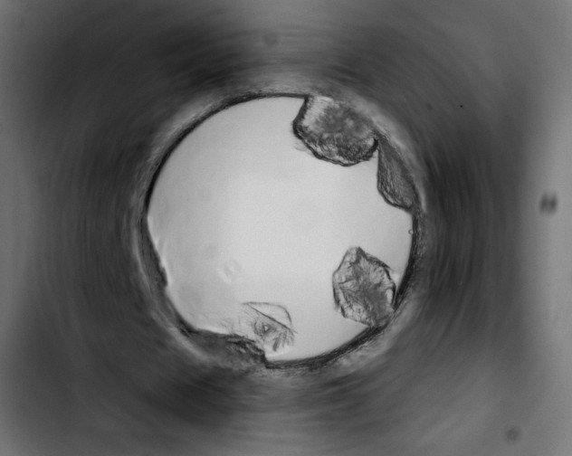 X0000103930625200810311518