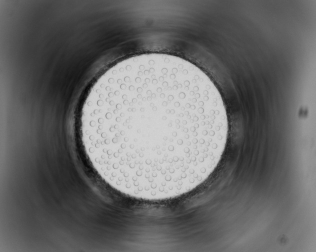 X0000103930626200810311518