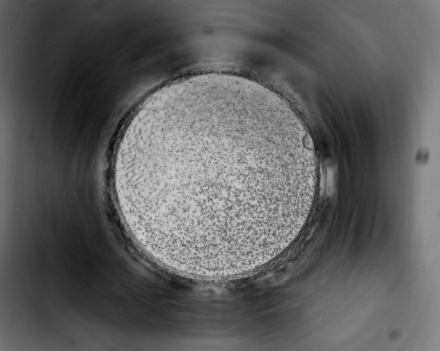 X0000103930627200810311518