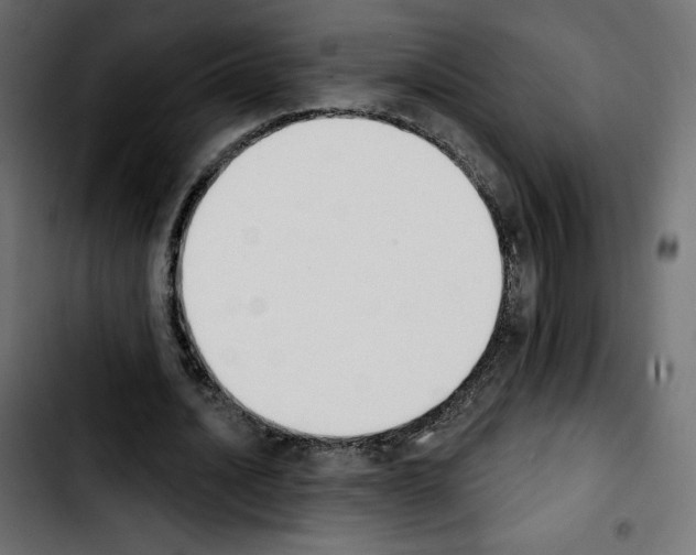 X0000103930628200810311518