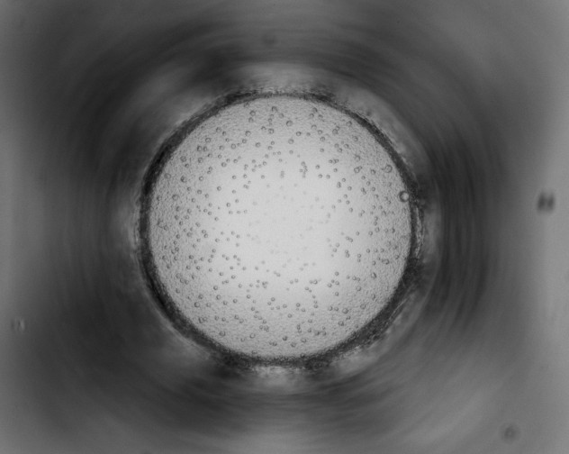 X0000103930629200810311518